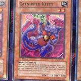 FET-EN013 x3 Catnipped Kitty- Common - unl Edition Yugioh