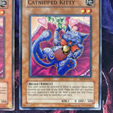 FET-EN013 x3 Catnipped Kitty- Common - unl Edition Yugioh
