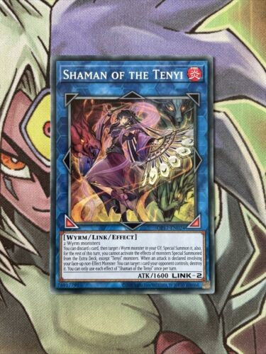 OP17-EN024 Shaman Of The Tenyi Common Unlimited Edition NM Yugioh Card