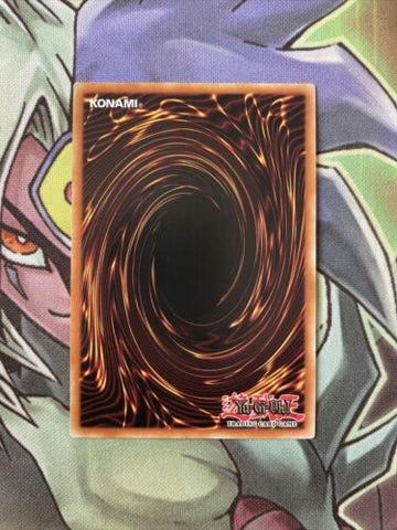 OP17-EN024 Shaman Of The Tenyi Common Unlimited Edition NM Yugioh Card (back)