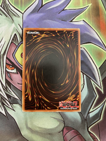 TSHD-EN003 Blackwing - Breeze The Zephyr Ultra Rare 1st Edition NM Yugioh Card (back)