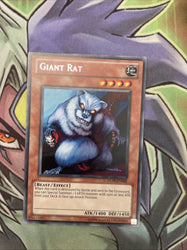 Smirking Gnome