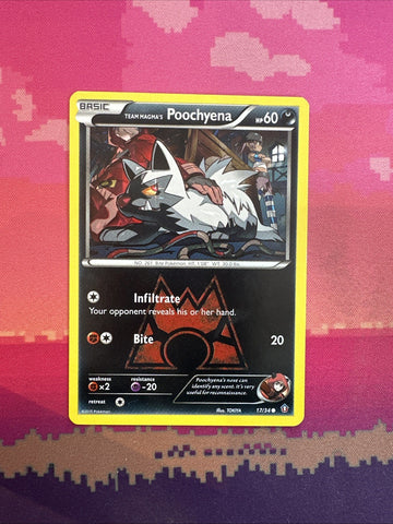 Pokemon Card Team Aqua's Poochyena Double Crisis Common 16/34 Near Mint
