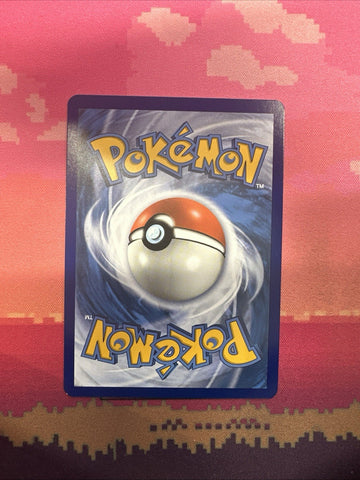 Pokemon Card Torchic Dragon Majesty 4/70 Common Near Mint (back)