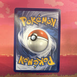 Pokemon Card Torchic Dragon Majesty 4/70 Common Near Mint