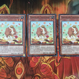 ABYR-EN025 Yugioh 3x Madolche Cruffssant - Common, Mixed Editions, Playset (NM)