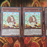 ABYR-EN025 Yugioh 3x Madolche Cruffssant - Common, Mixed Editions, Playset (NM)