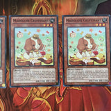 ABYR-EN025 Yugioh 3x Madolche Cruffssant - Common, Mixed Editions, Playset (NM)