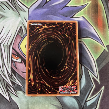 MP19-EN099 Link Devotee Common 1st Edition NM Yugioh Card (back)