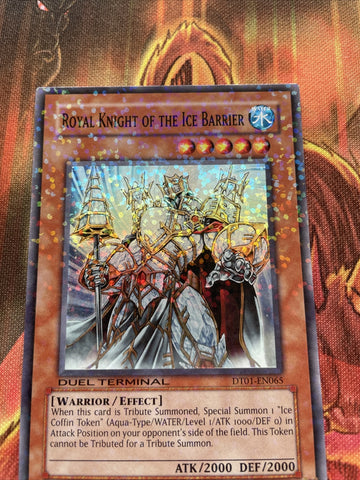 DT01-EN065 Royal Knight Of The Ice Barrier - NM Yugioh Card (back)