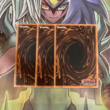 LCGX-EN019 x3 Neo-Spacian Dark Panther Common Excellent Condition Yugioh