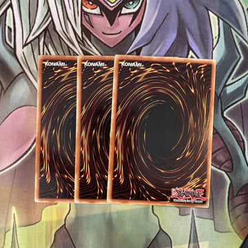 CP04-EN014 x3 Grand Tiki Elder Common Excellent Condition Yugioh (back)