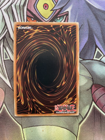 OP24-EN007 Cornfield Coatl Super Rare UNL Edition Near Mint Yugioh (back)