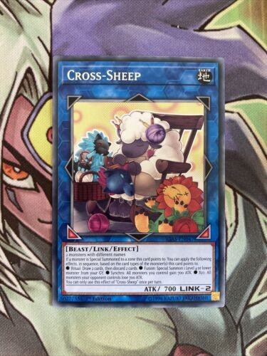 IGAS-EN047 Cross-Sheep Rare 1st Edition NM Yugioh Card