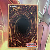 Red-Eyes B. Dragon Yugioh JAPANESE CARD DMG-AYUJ-JPN DUEL MONSTER 1998 *