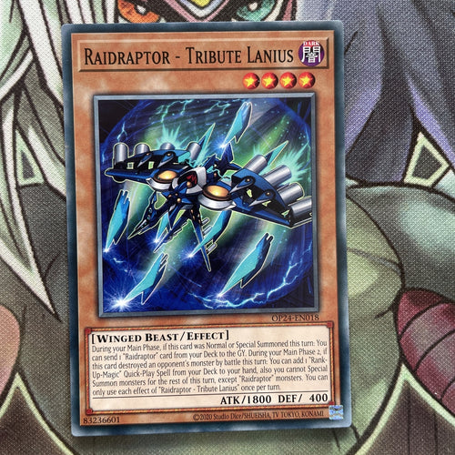 OP24-EN018 Raidraptor - Tribute Lanius Common UNL Edition Near Mint Yugioh