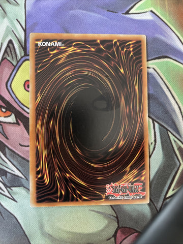 LC5D-EN177 Tanngrisnir Of The Nordic Beasts Secret 1st Edition NM Yugioh Card (back)