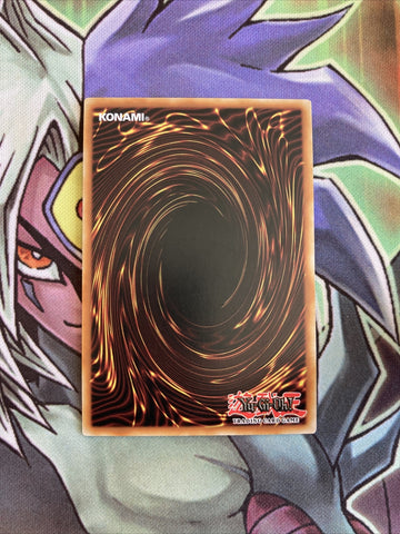 LED2-EN052 Toon Kingdom Rare 1st Edition NM Yugioh Card (back)