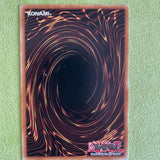 MACR-EN045 Yugioh D/D/D Stone King Darius Near Mint