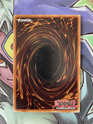 GLD1-EN006 Needle Worm Common Limited Edition Yugioh Card Near Mint (back)