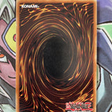 GLD1-EN006 Needle Worm Common Limited Edition Yugioh Card Near Mint
