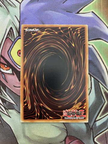 LC5D-EN226 Super-Nimble Mega Hamster Secret Rare 1st Edition NM Yugioh (back)
