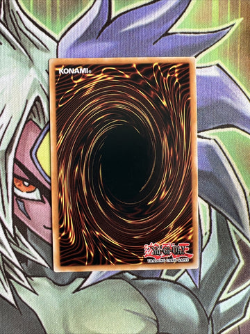 DIFO-EN087 Libromancer Fireburst Ultra Rare 1st Edition NM Yugioh Card (back)