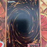 lob-e006  Basic Insect 1st Edition (VG+/NM) Common Yugioh!