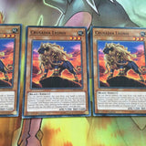 CYHO-EN008 3x Crusadia Leonis 1st Edition | Common | YuGiOh