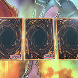 CYHO-EN008 3x Crusadia Leonis 1st Edition | Common | YuGiOh
