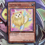 SP17-EN002 Fluffal Leo Starfoil 1st Edition NM Yugioh Card