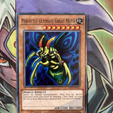 LED2-EN013 Perfectly Ultimate Great Moth Common 1st Edition NM Yugioh Card