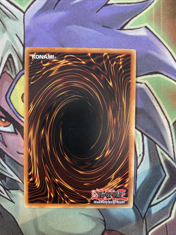 LED2-EN013 Perfectly Ultimate Great Moth Common 1st Edition NM Yugioh Card (back)