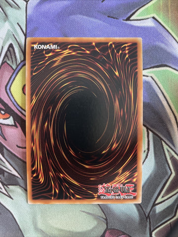 LED5-EN046 Predaplant Heliamphorhynchus Super Rare 1st Edition NM Yugioh Card (back)