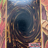 DT04-EN067 Genex Ally Birdman - LP/MP Yugioh