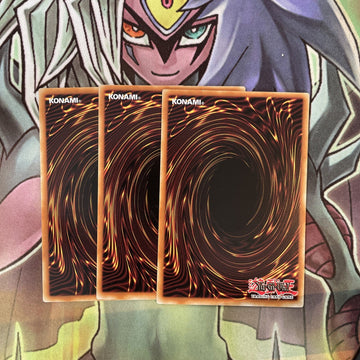 AP05-EN020 x3 Empress of Prophecy Common Excellent Condition Yugioh (back)