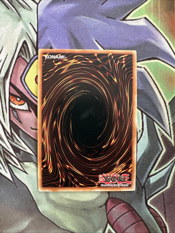 AC19-EN018 One For One Ultra Rare 1st Edition NM Yugioh Card (back)