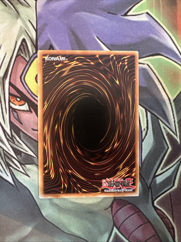 SP18-EN048 Altergeist Protocol Starfoil Rare 1st Edition NM Yugioh Card (back)