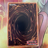EXVC-EN087 Gladiator Taming - Secret Rare - 1st Edition - YuGiOh! LP GERMAN