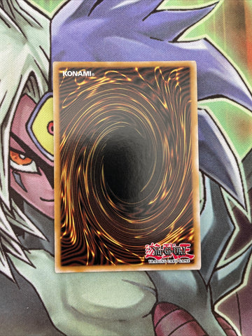 YS18-EN044 Link Spider Common 1st Edition NM Yugioh Card (back)