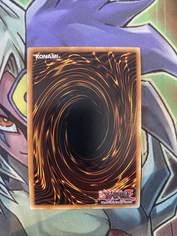 LDS1-EN001 Red-Eyes Black Dragon Ultra Rare Purple 1st Edition NM Yugioh Card (back)