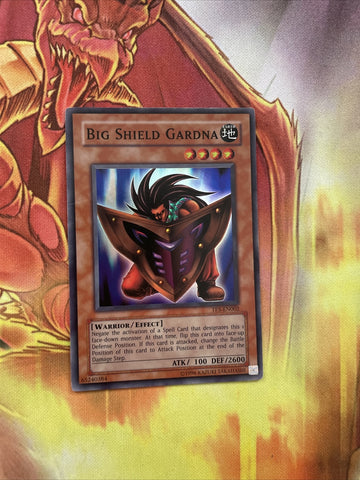 TP5-EN002 Big Shield Gardna Super Rare Yugioh TCG MP see pics