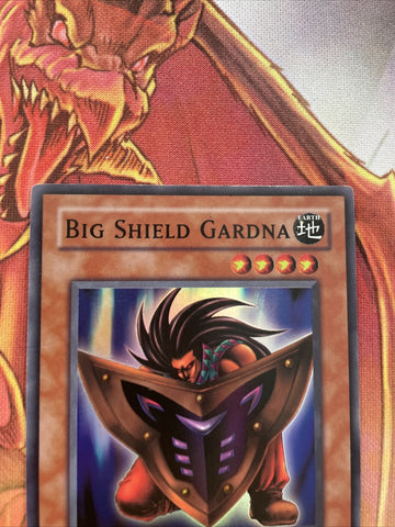 TP5-EN002 Big Shield Gardna Super Rare Yugioh TCG MP see pics (back)