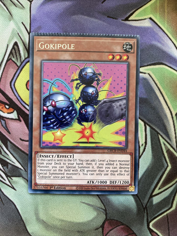 GRCR-EN044 Gokipole CRIMPED 1st Edition NM Yugioh Card