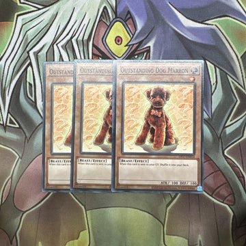 OP17-EN014 x3 Outstanding Dog Marron Common Excellent Condition Yugioh
