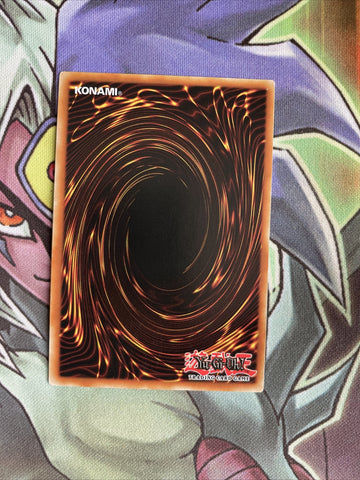 ETCO-EN001 Parallel EXceed Common 1st Edition NM Yugioh Card (back)