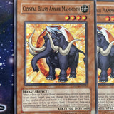 FOTB-EN005 x3 Crystal Beast Amber Mammoth Common Playset Yugioh