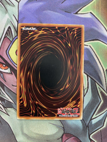 CIBR-EN095 Amazoness Empress Common 1st Edition NM Yugioh Card (back)