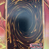 SOI-EN033 Divine Dragon - Excelion Super 1st Ed Yugioh