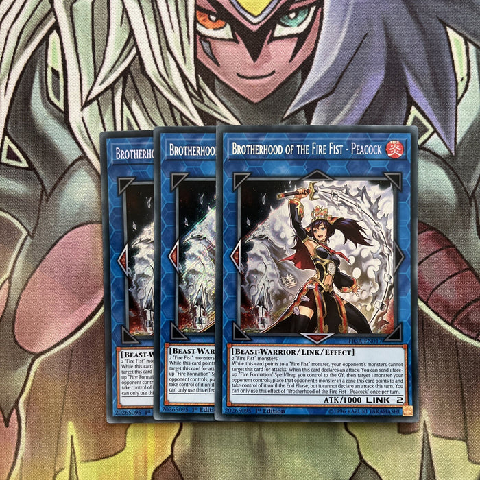 FIGA-EN017 x3 Brotherhood of the Fire Fist - Peacock Secret Excellent Yugioh
